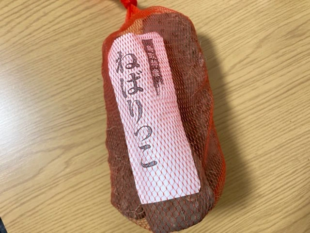 青空レストラン紹介!鳥取名産長芋ねばりっこをお取り寄せ
