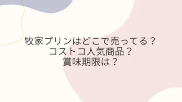 牧家プリンはどこで売ってる？コストコ人気商品？賞味期限は？