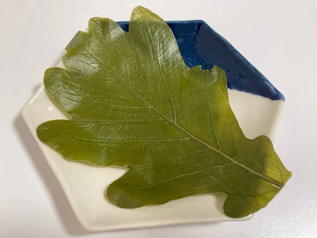 本物のかしわ葉で包まれている