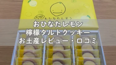 瀬戸田レモン果汁が入った檸檬タルトクッキーお土産レビュー・口コミ