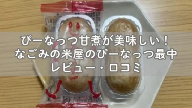 ぴーなっつ甘煮が美味しいぴーなっつ最中レビュー・口コミ