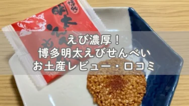 えび濃厚！博多明太えびせんべいお土産レビュー・口コミ